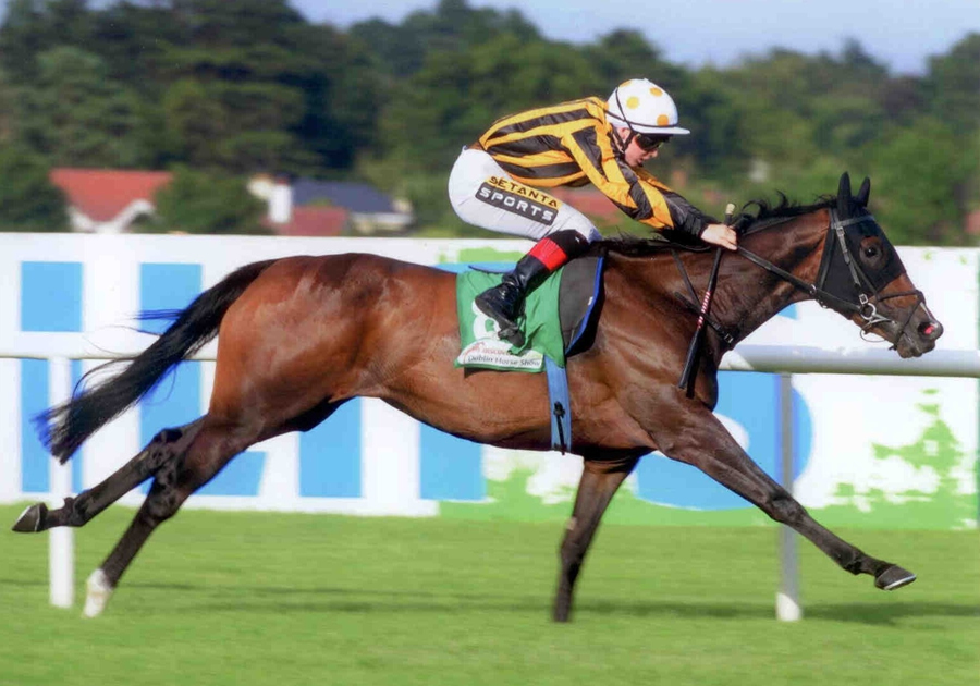 Some Spirit Leopardstown July 17th